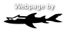 Sharky Computer